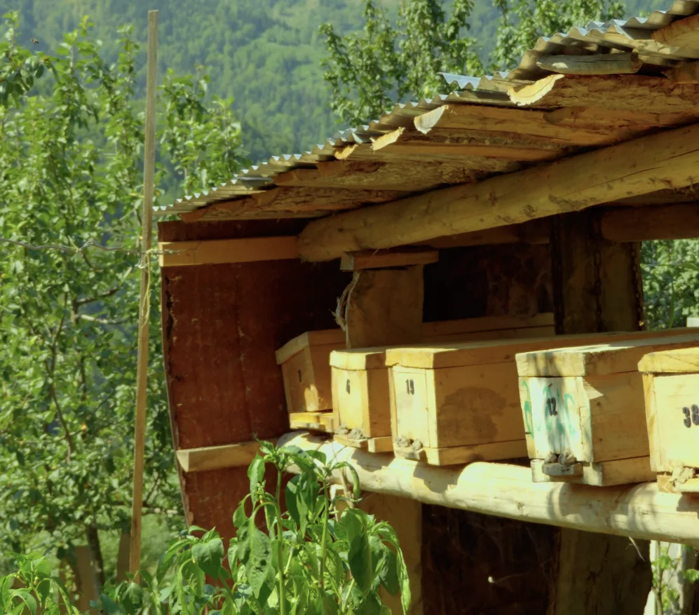 Jarra honey + village half-day